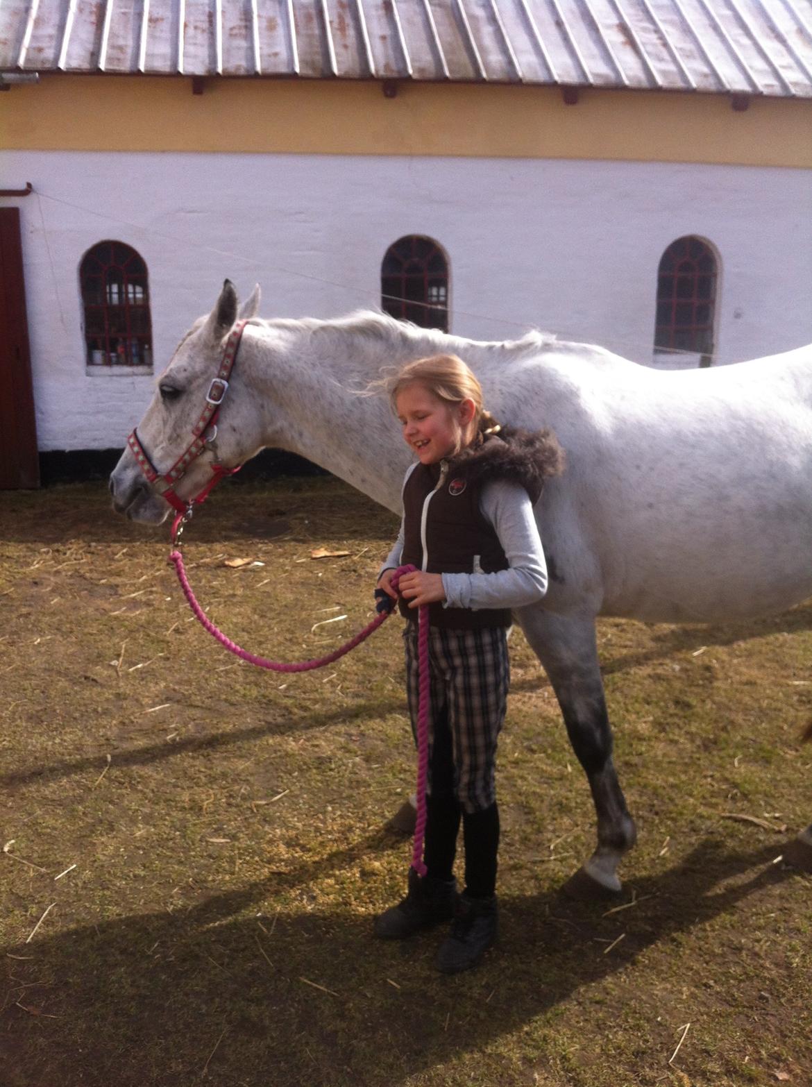 DSP nordenhøjs freja billede 5