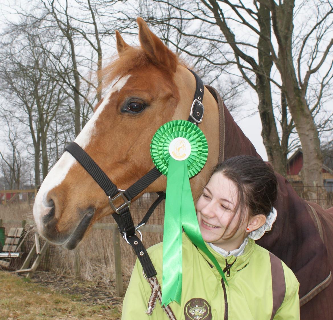 DSP Sizze Bredager EBRSDH 141/B-pony - 4.plads i la3. Distriktstævne i Billund billede 17