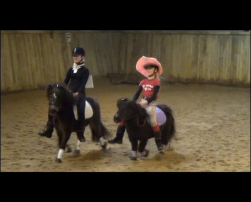 Knabstrupper Gizmo - lille pot - My soulmate <33 - "Ridelejr" afslutning med verdens bedste veninde <333 billede 5
