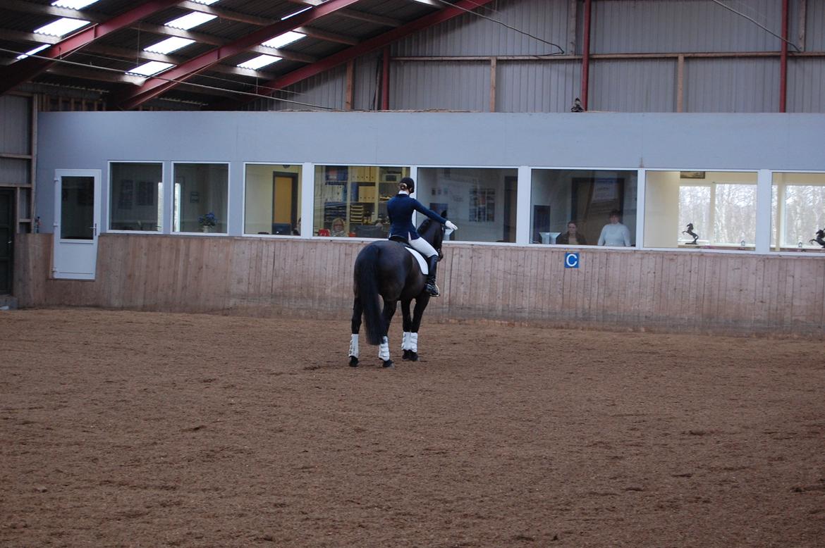 Oldenborg Ursandi af Hvarre billede 10