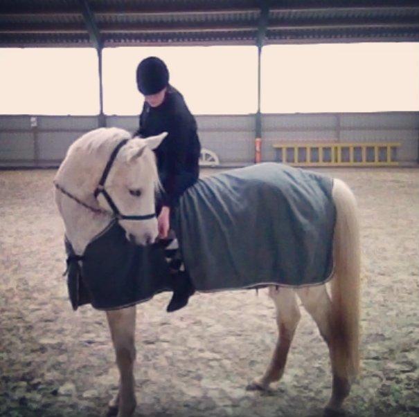 Sportsaraber (A) Filip billede 4
