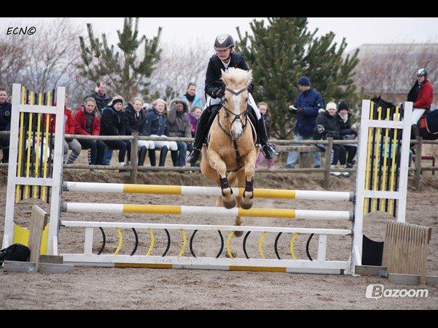 Palomino QUEEN OF EUROPE - Queen og jeg I vores første LC sammen hvor vi blev nummer 2 i SRLa :-**
- April 2013 billede 8