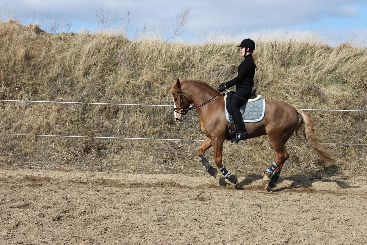 DSP Foxtrot billede 13