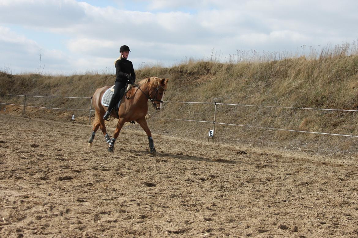 DSP Foxtrot billede 18