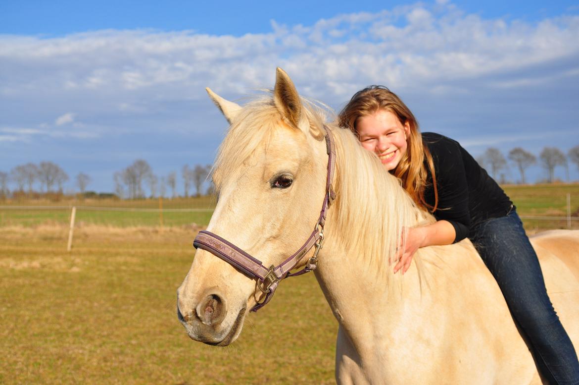 Palomino Bailey billede 2