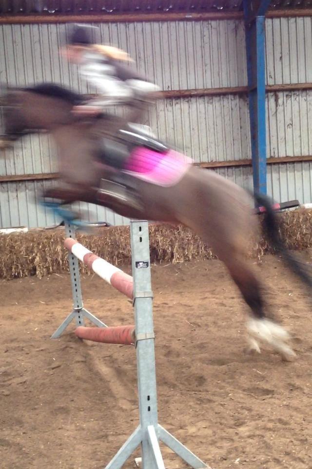 DSP Lundgaards Friday - I må virkelig undskylde dårlig kvalitet, men her springer vi 1 meter 2013!<3 billede 7