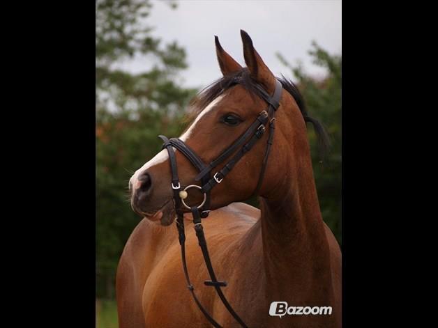 DSP Lundgaards Friday - Friday <3 billede 5