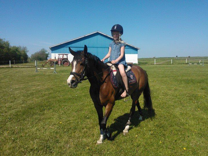 DSP Lundgaards Friday billede 9