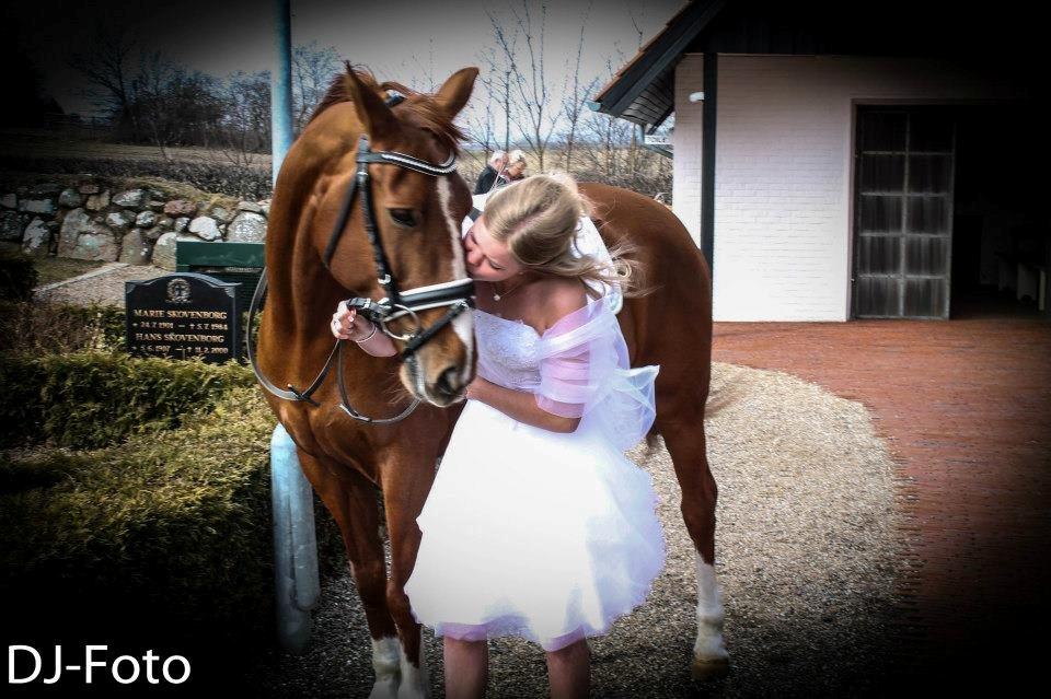 Anden særlig race Cissero - Intet jeg elsker højere end dig :-*
Min eneste ene..
 billede 3