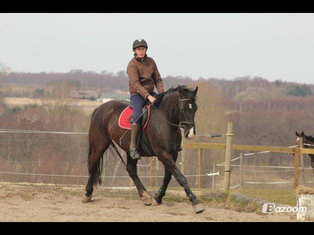 Oldenborg Petrea billede 7