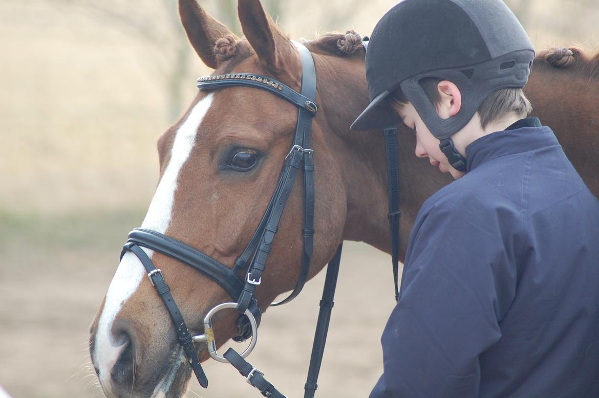 New Forest Kantje's Bardoes - Hvor er vi trætte :) billede 14