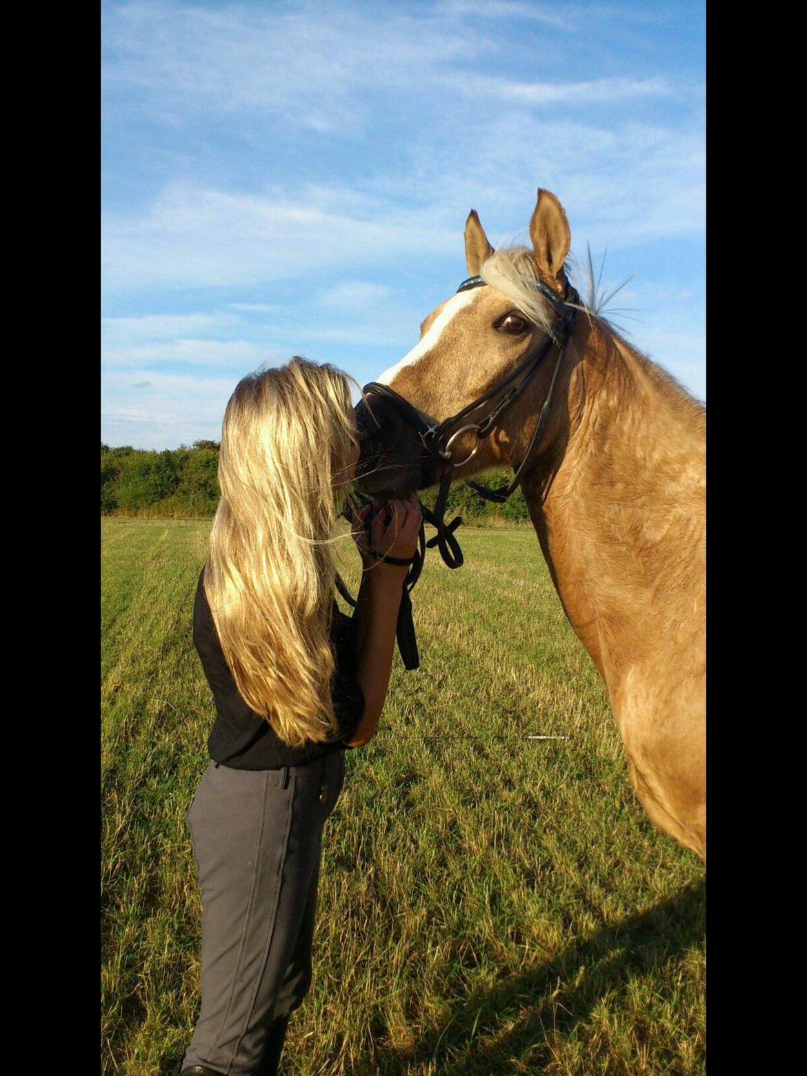 Anden særlig race Lucky Boy billede 17