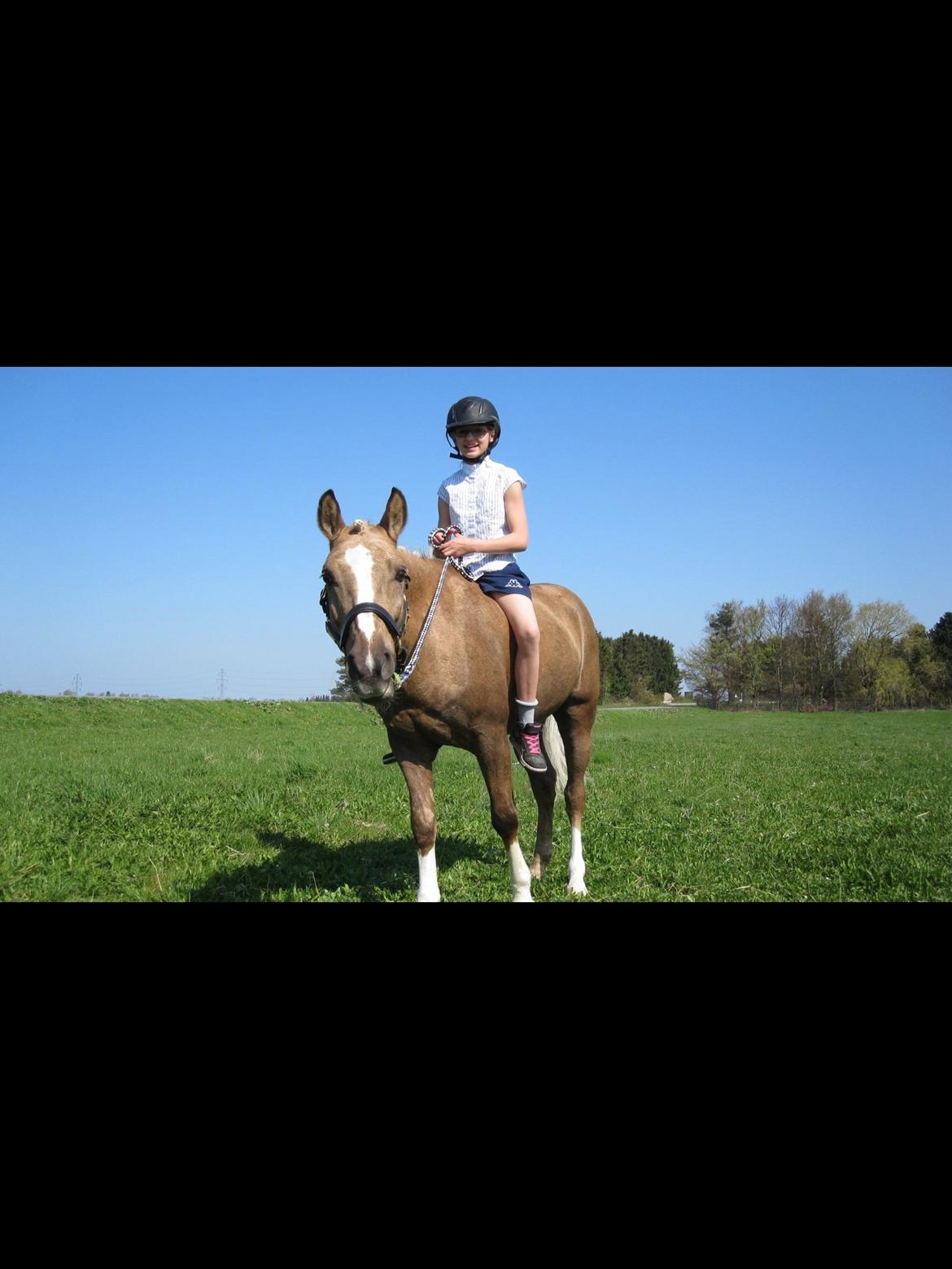 Anden særlig race Lucky Boy billede 18