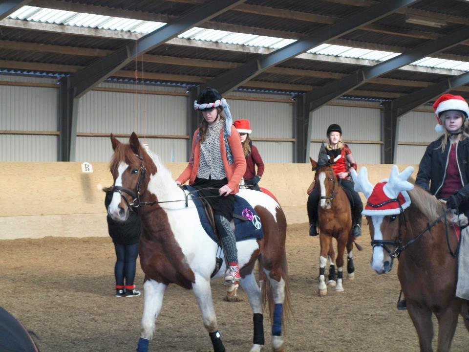 Anden særlig race Kingston - Til fastelavns hygge i stalden!! Kingston og jeg var hippier ;) billede 4