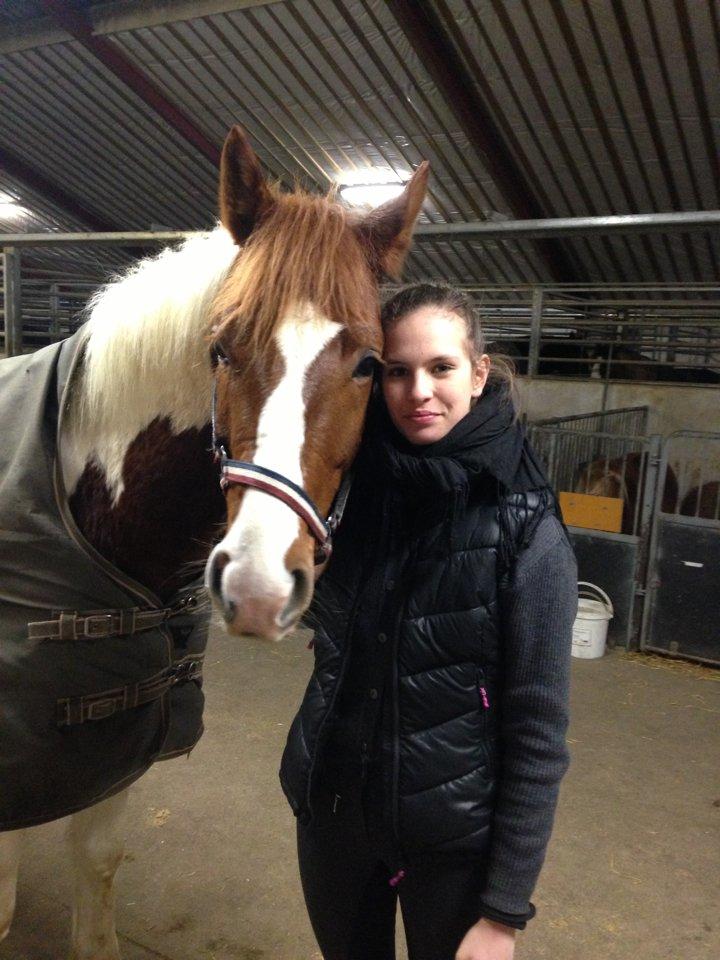 Anden særlig race Kingston - Skatten billede 6