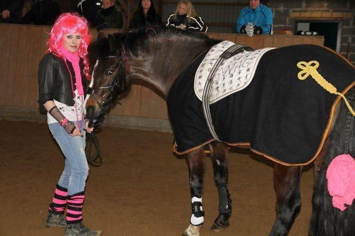 New Forest Chamsiin - fastelavn<3 billede 3