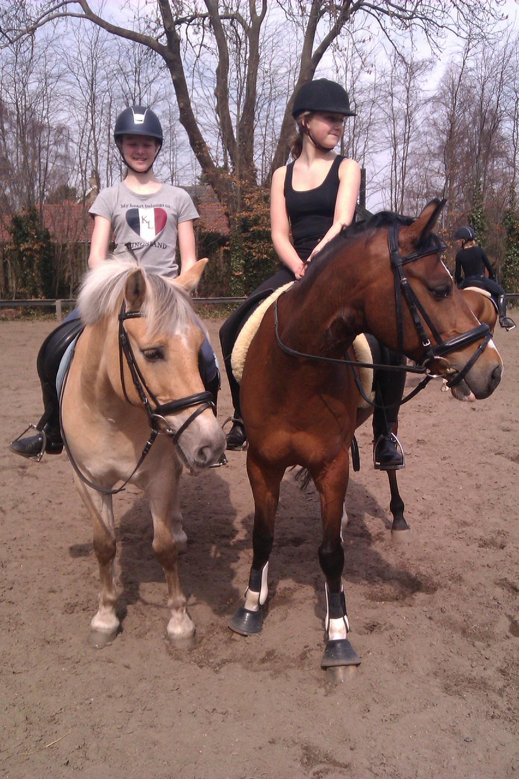 DSP Toftegårdens Alcazar B-pony billede 18