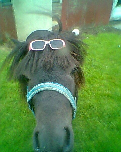 Miniature kim buller håber du har det godt<333333333 - velkommen til Buller´s profil<3 billede 1