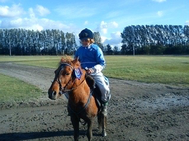 Anden særlig race Molly (SOLGT) <3 - Anden pladsen på nyk. travbane!<3 billede 11
