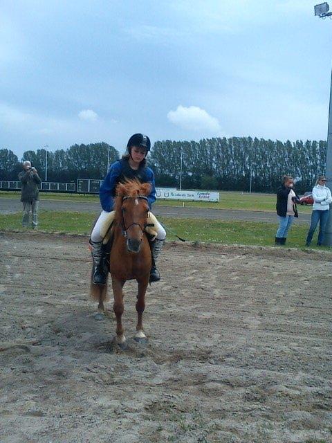 Anden særlig race Molly (SOLGT) <3 - Nyk. travbane!<3 billede 14