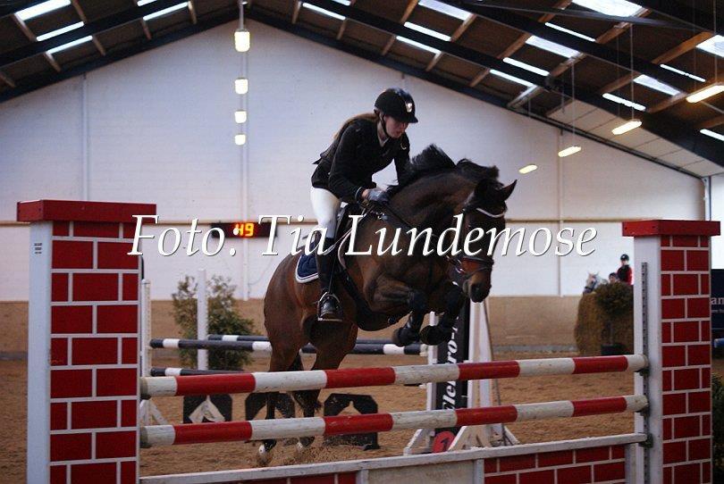 Tysk Sportspony Sultan - MB kallehavegaard. billede 8