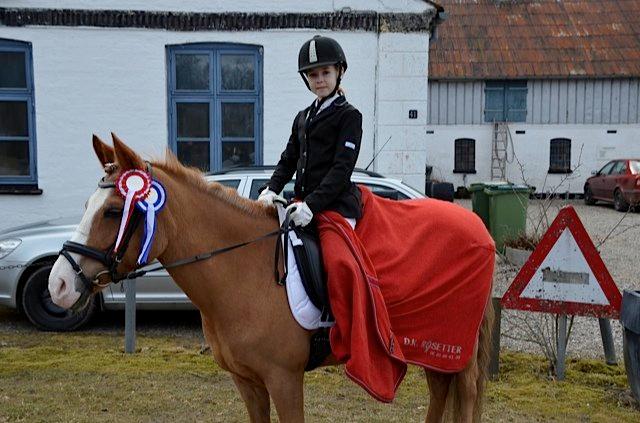 Anden særlig race Chiquita billede 11