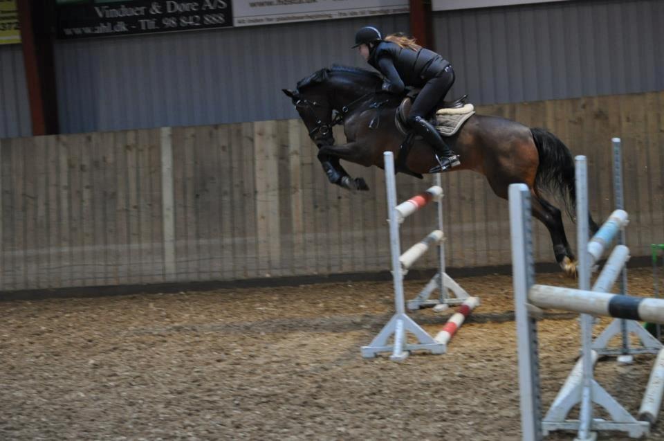 Tysk Sportspony Sultan - Talentsamling v. Lars Therkildsen :-) billede 17