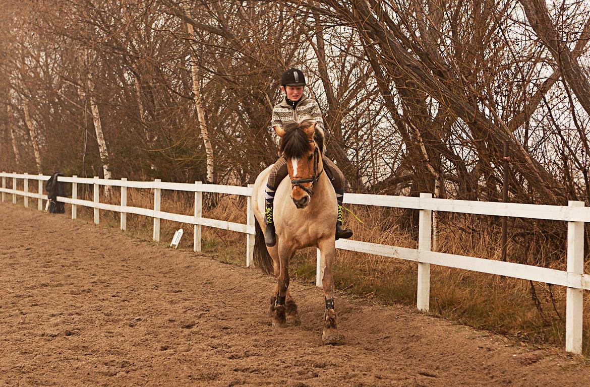 Anden særlig race Lipo Flash - Versade ;) Foto: CL billede 15