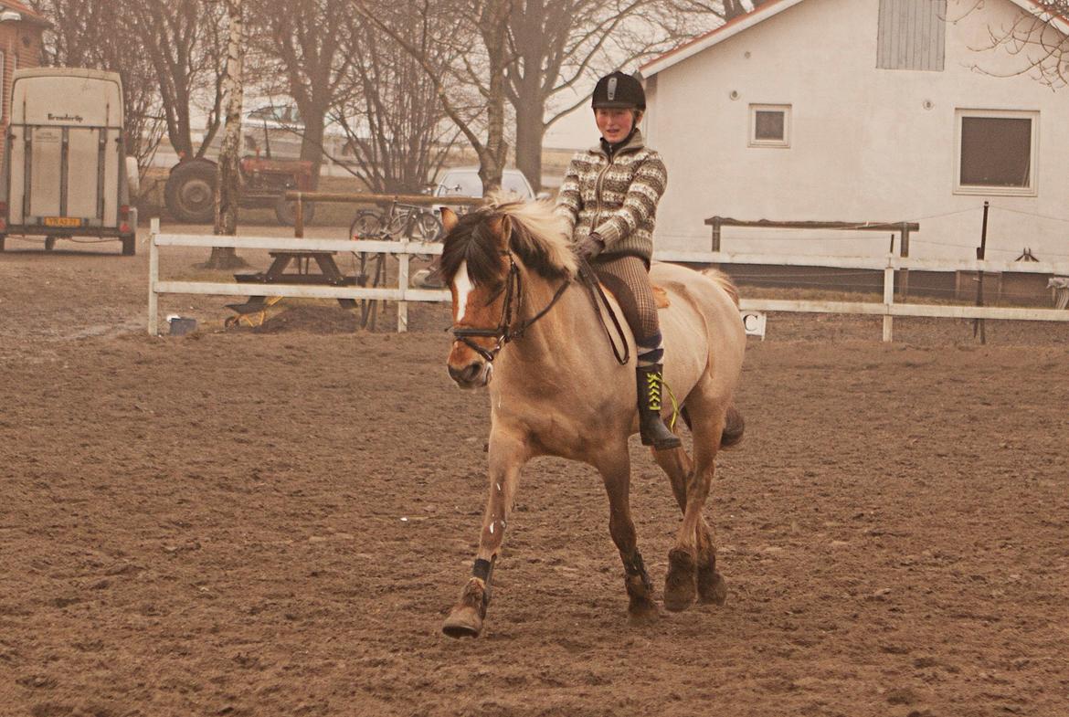 Anden særlig race Lipo Flash - Øgning på Lipodrengen - det går fremad!! :)
Foto: CL billede 2