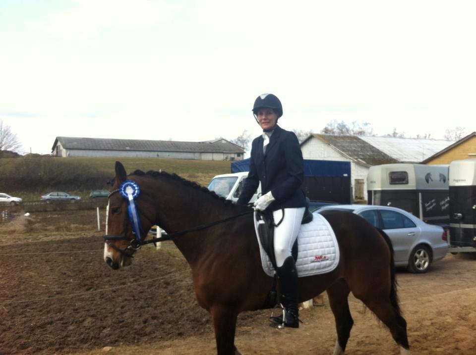 Pinto Egegaardens Kor'el billede 3