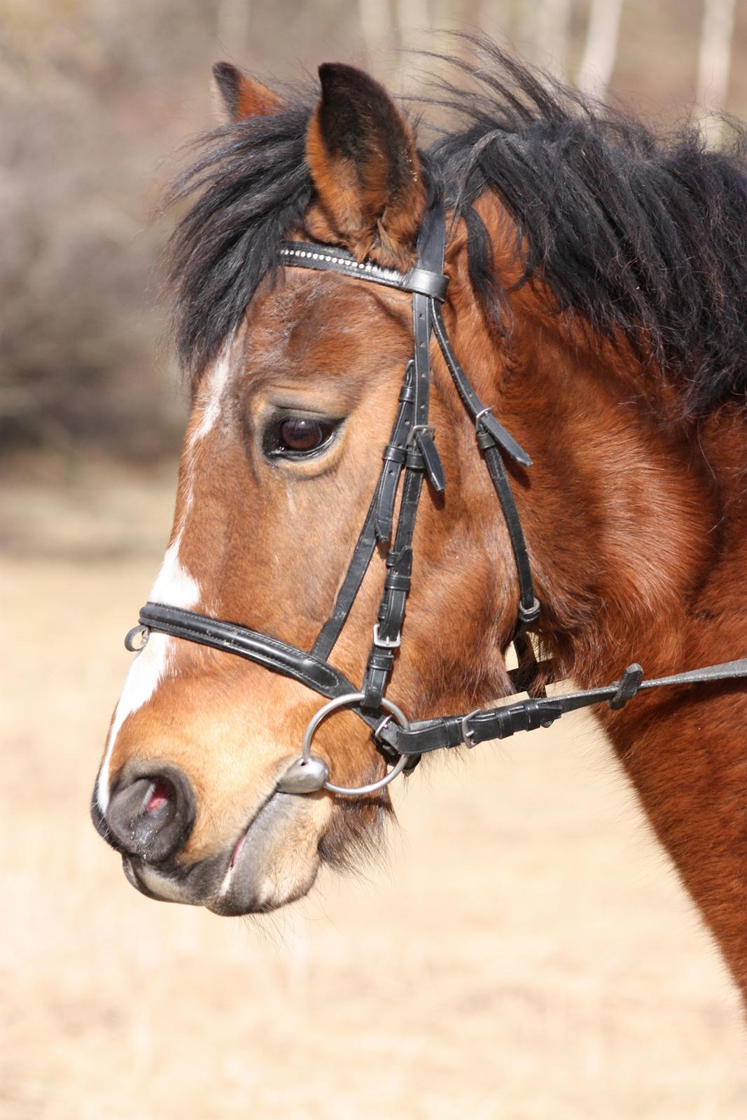 Anden særlig race Stjerne billede 1