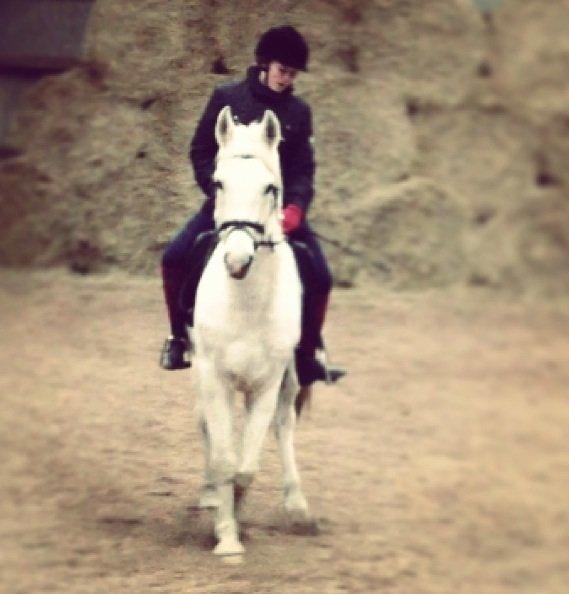 Sportsaraber (A) Filip billede 5