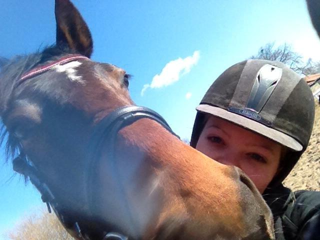 Dansk Varmblod Mister Hot Chocolate Fudge (Lillebror) - Basse og mig som er blevet enige (langt om længe) om hvorvidt styringen skal tages, da han synes han alene skulle tage beslutningerne under træningerne. Min lille fighter! billede 15