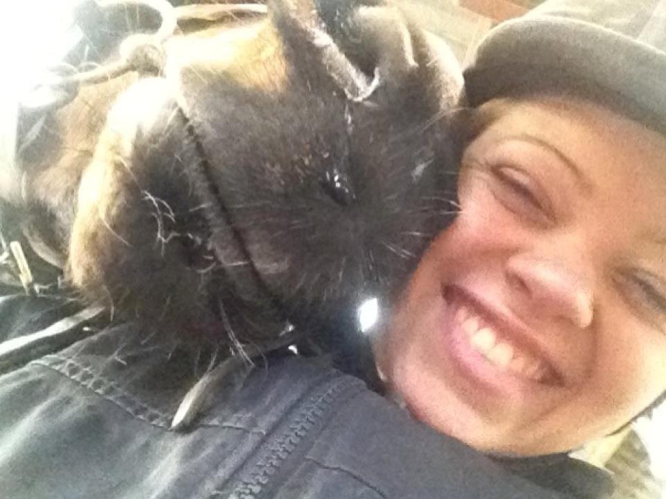 Dansk Varmblod Mister Hot Chocolate Fudge (Lillebror) - Lille får smilet frem på mine læber! <3  billede 16