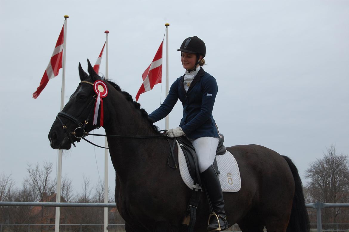 Oldenborg Evita af Hvarre billede 8