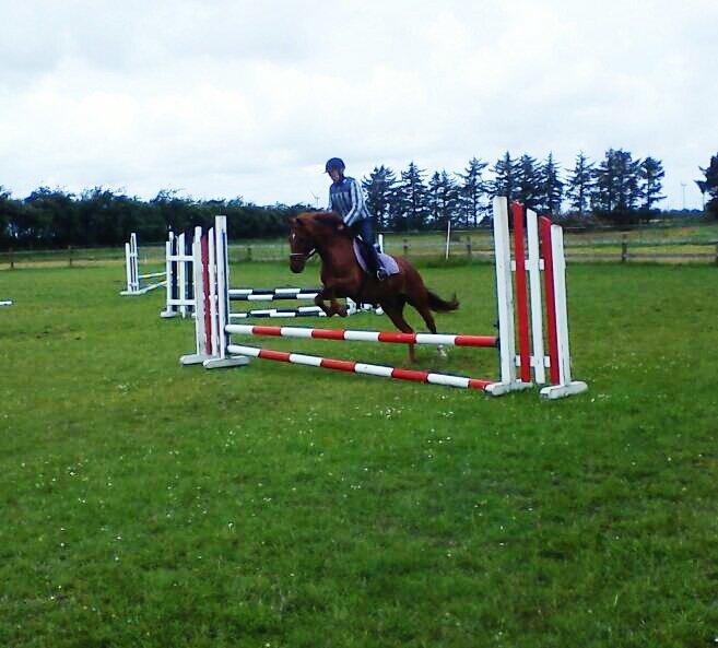 Anden særlig race Laban<3 - Vi elsker og springe!!:-D<3333 billede 17