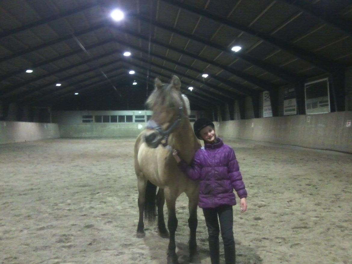 Anden særlig race Lilli  - Lige et billede med Lilli og mig i ride hallen :D billede 12