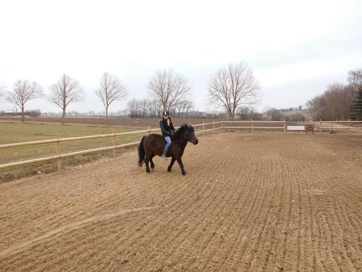 Anden særlig race Turbo - ridetur uden sadel=) billede 2