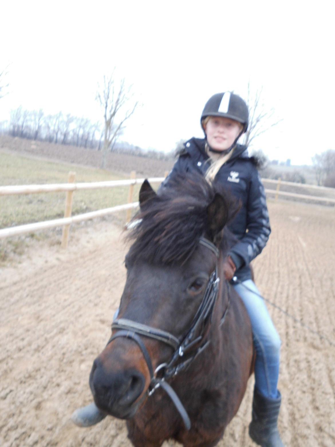 Anden særlig race Turbo - <3
 billede 3