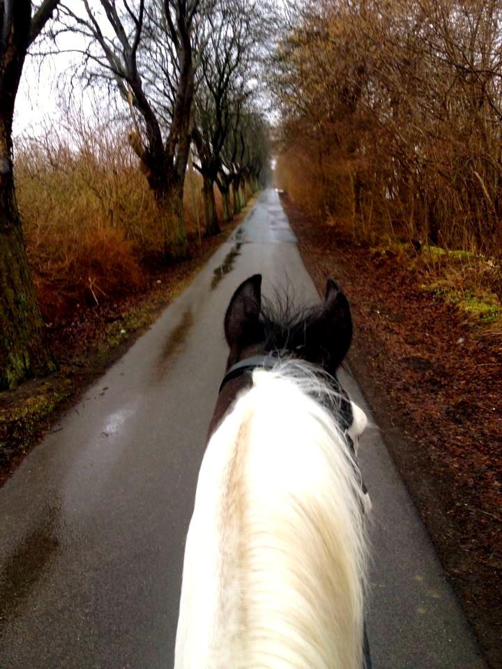 Paint Top hat - ©Josefine Madsen billede 18