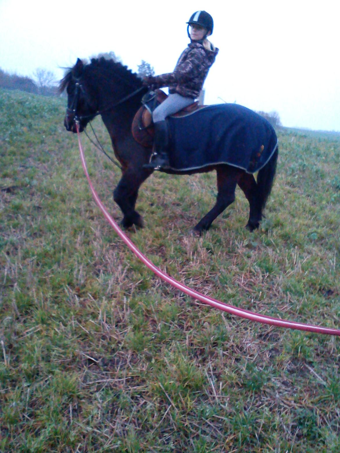 Anden særlig race Turbo billede 9