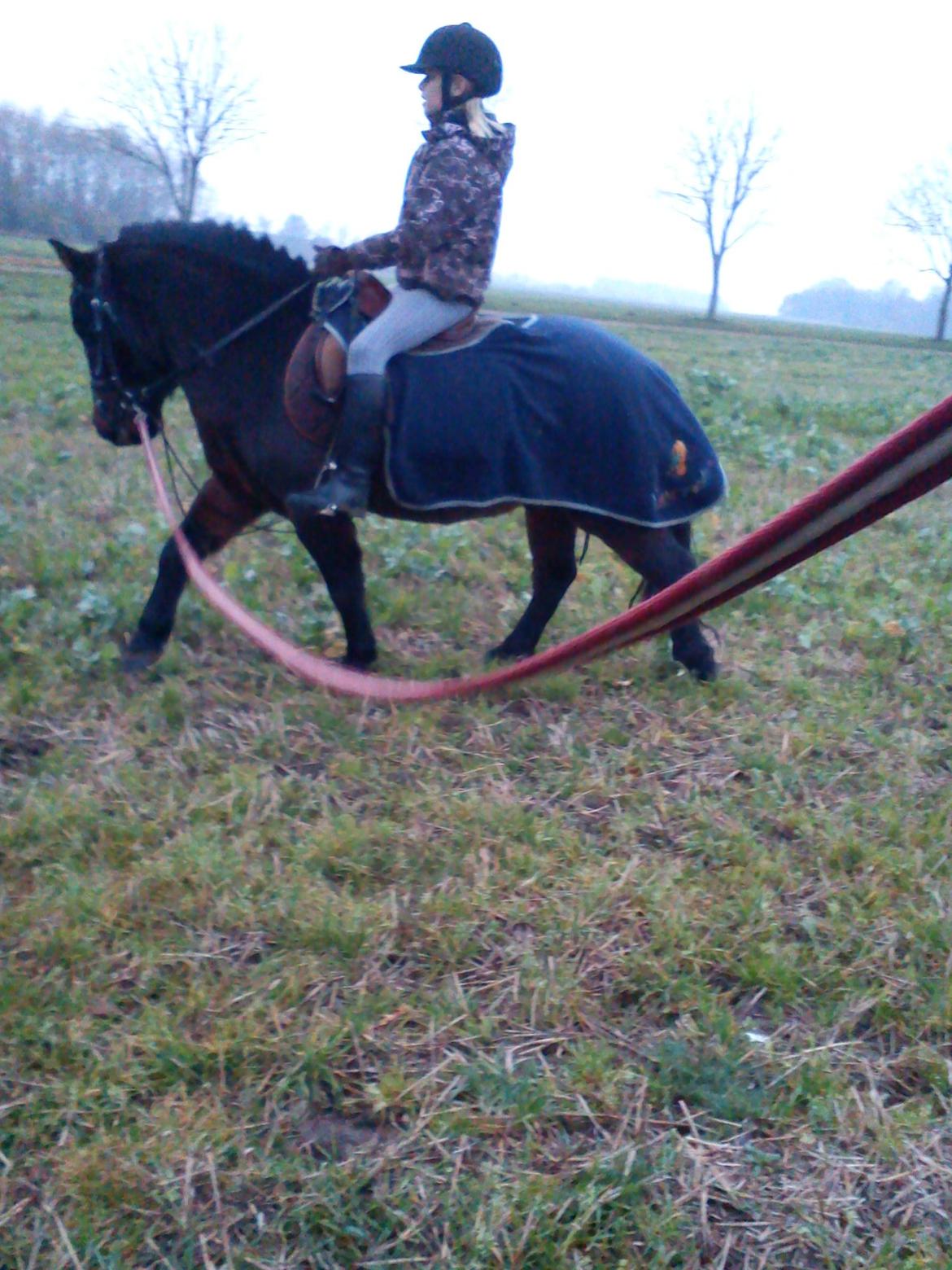 Anden særlig race Turbo billede 10