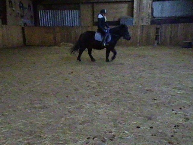 Anden særlig race Turbo - en ridetur fra påskeferien<3
 billede 12