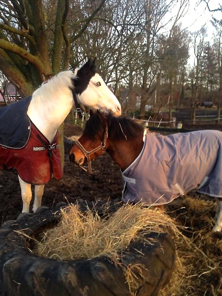 Paint Top hat - ©Josefine Madsen billede 20
