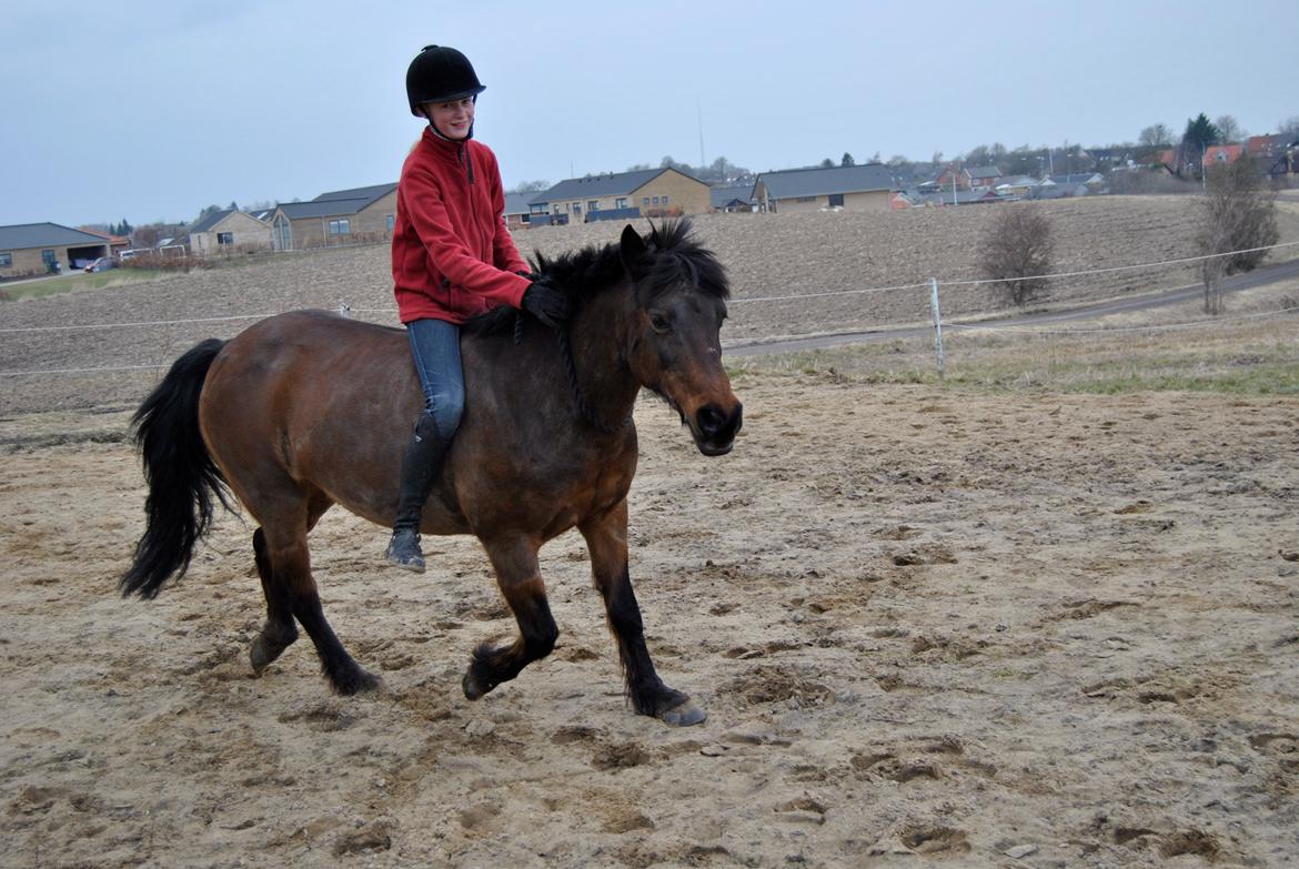 Anden særlig race Isabell  RIP  - 2 gang i cordeo <3 så dygtig <3  billede 10