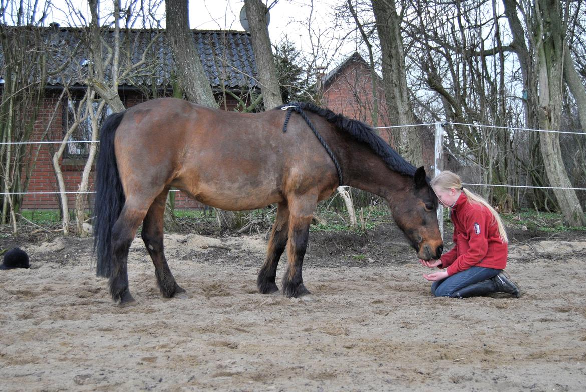 Anden særlig race Isabell  RIP  - altid,altid,altid <3 please, come back to me! :'( billede 15