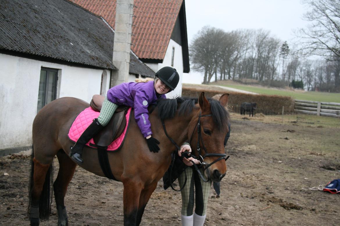 Anden særlig race Stald Poppels Tanne billede 5