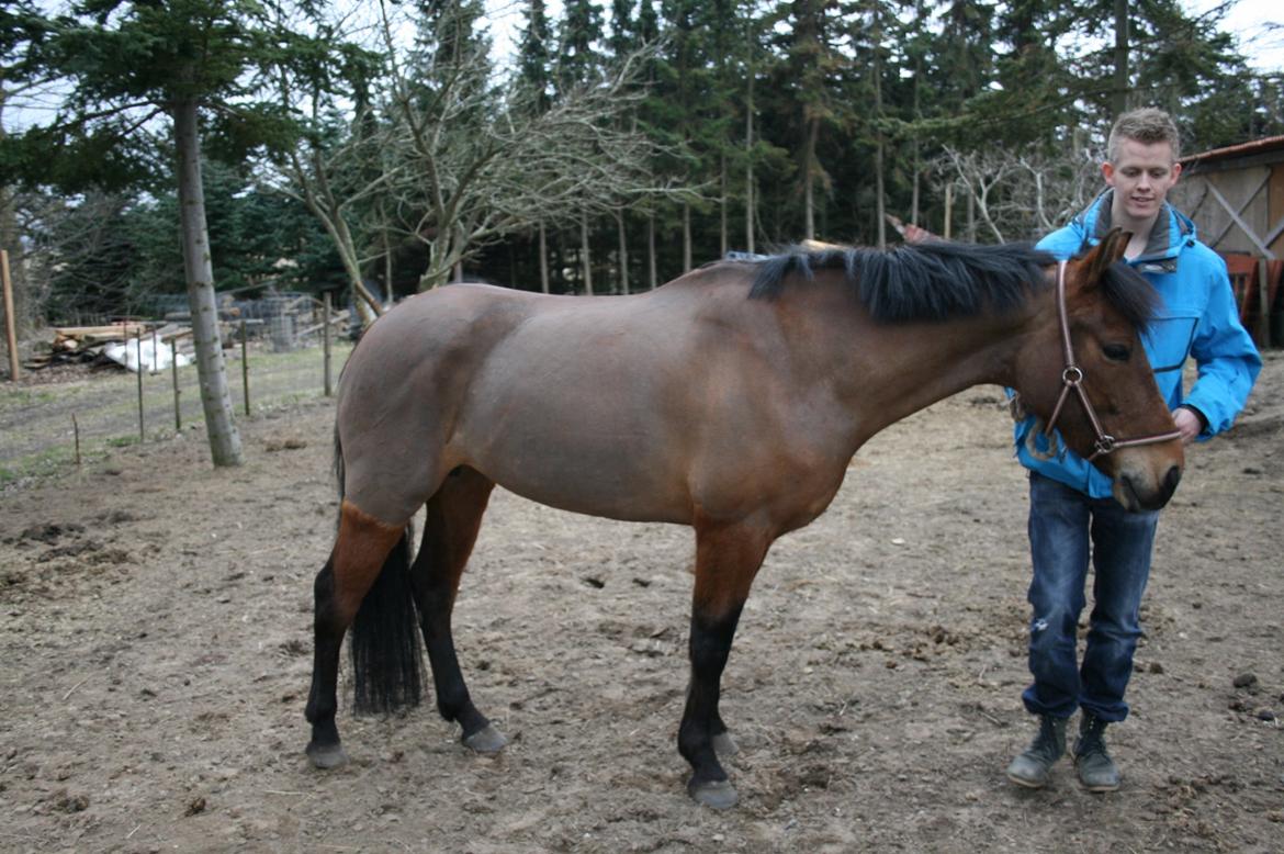 Anden særlig race Stald Poppels Tanne billede 9