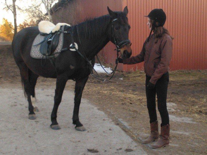 Dansk Varmblod Nygaards Michado - trætte michado og amanda :) billede 31