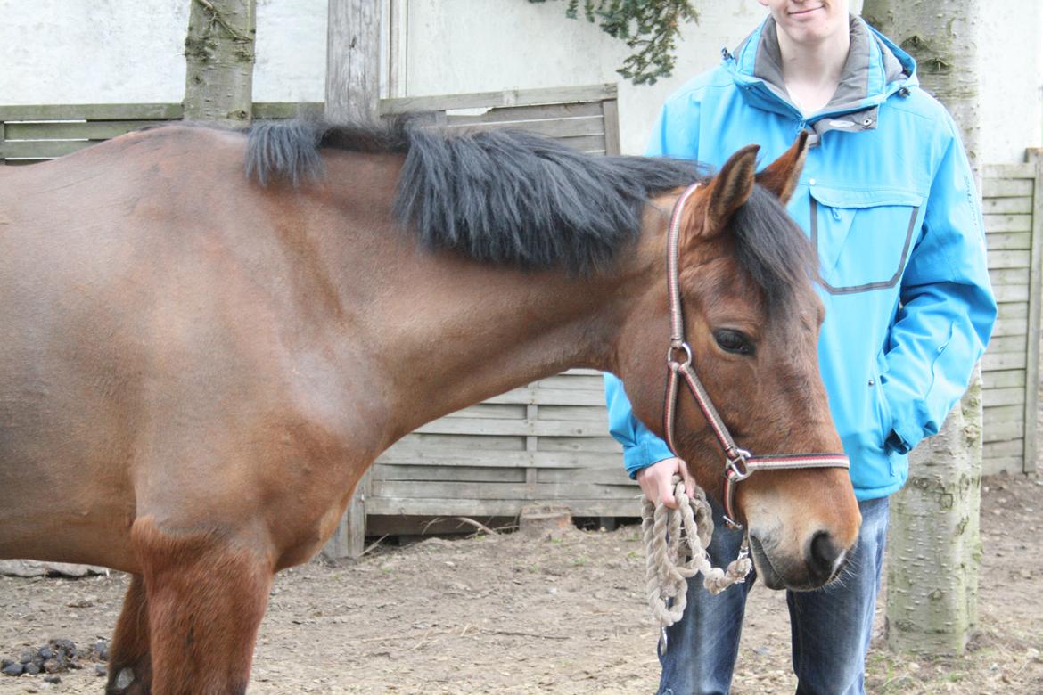Anden særlig race Stald Poppels Tanne billede 13
